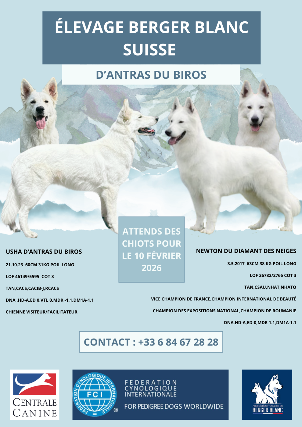 USHA X NEWTON 10.12.2025