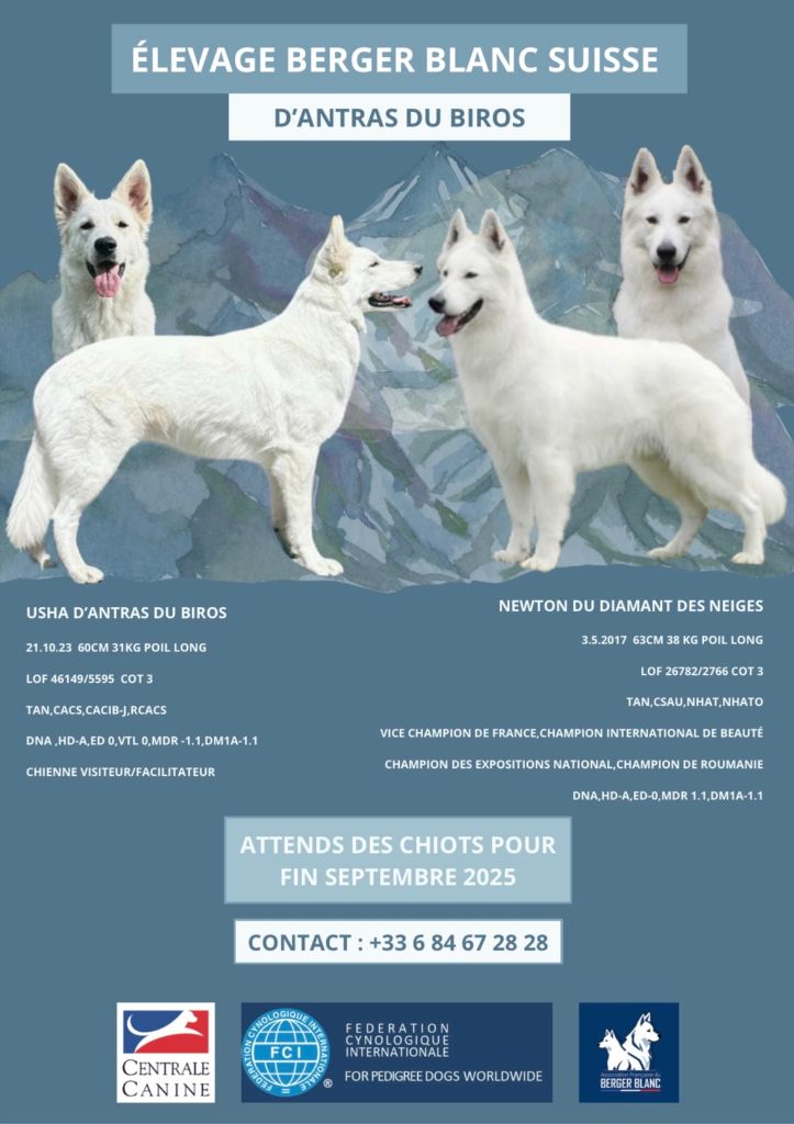 USHA X NEWTON saillie 17.7.2025