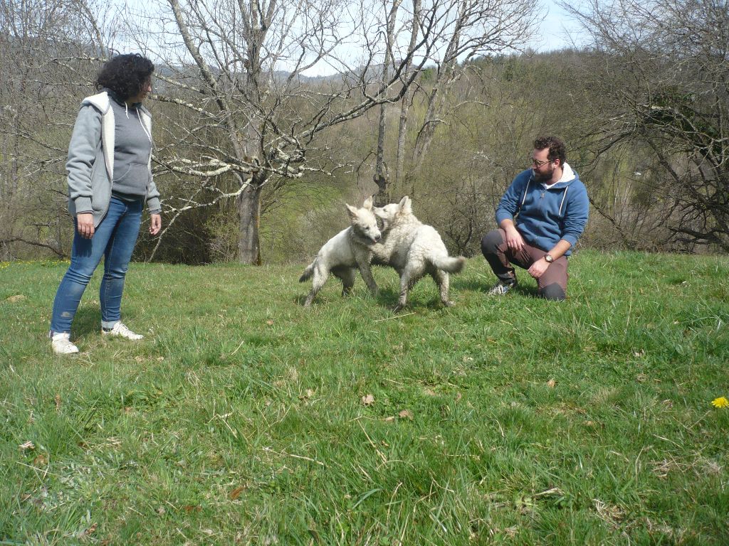 T´es Mia  Usha Yoshi